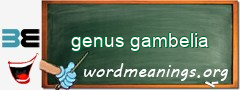 WordMeaning blackboard for genus gambelia